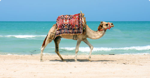 Tunisia